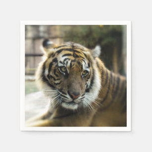 Serviette En Papier Orange à rayures noires Bengale photo tigre