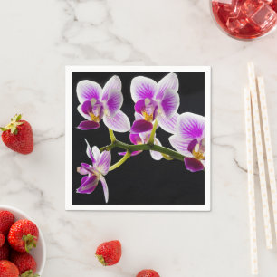 Serviette En Papier Orchidée blanche et violette