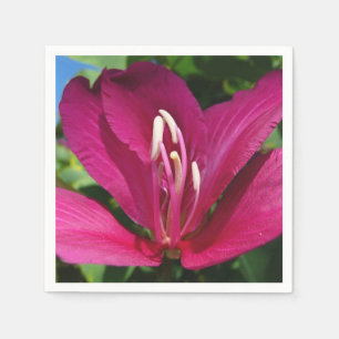 Serviette En Papier Orchidée Fleurie tropicale Florale