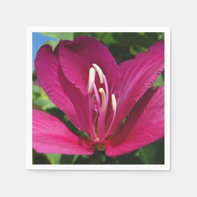 Serviette En Papier Orchidée Fleurie tropicale Florale (Devant)