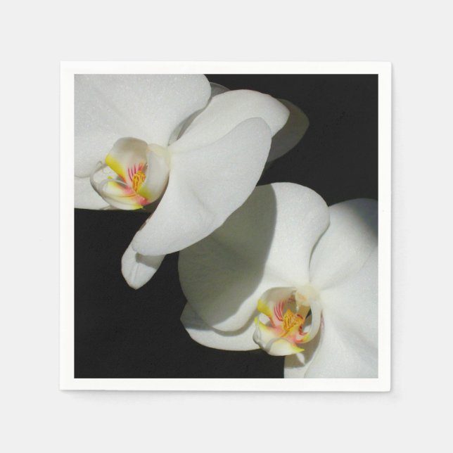 Serviette En Papier Orchidées blanches romantiques, photo florale trop (Devant)