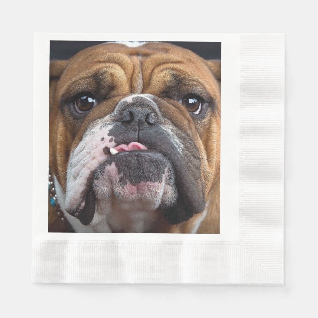 Serviette En Papier Oreillers à lancer de Bulldog anglais (Devant)