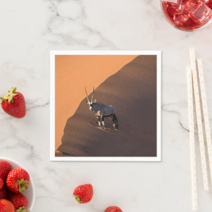 Serviette En Papier Oryx à la limite, Namibie