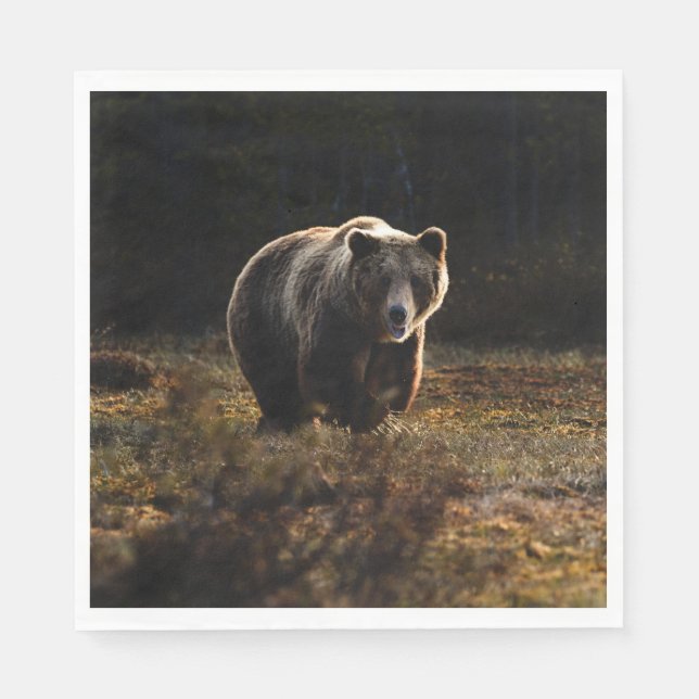 Serviette En Papier Ours (Devant)