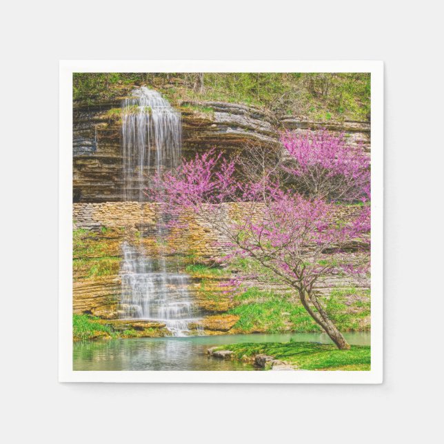 Serviette En Papier Ozarks Waterfall Spring Bluff (Devant)