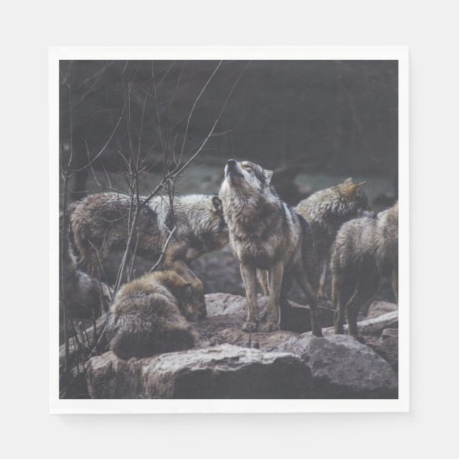Serviette En Papier Pack Wolf (Devant)