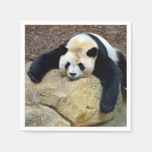 Serviette En Papier Panda géant endormi claqué sur un rocher