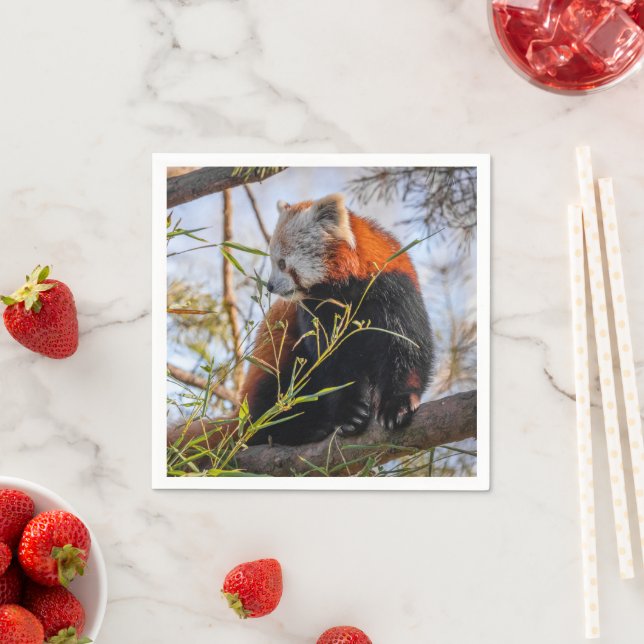 Serviette En Papier Panda rouge (En situation)