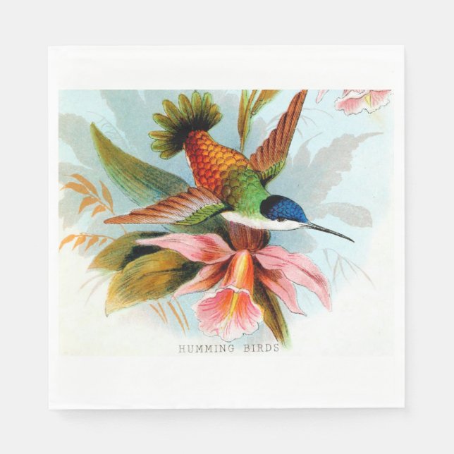 Serviette En Papier Paniers-repas de colibri (Devant)