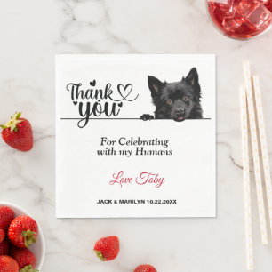 Serviette En Papier Papier de chien Schipperke