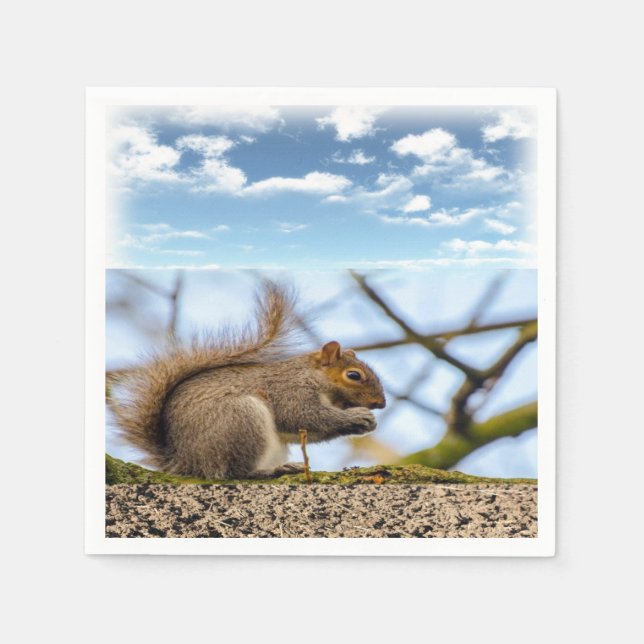 Serviette En Papier Papier écureuil (Devant)