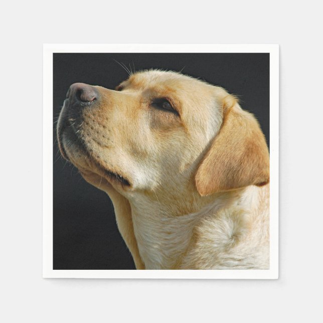 Serviette En Papier Papier Labrador Retriever (Devant)