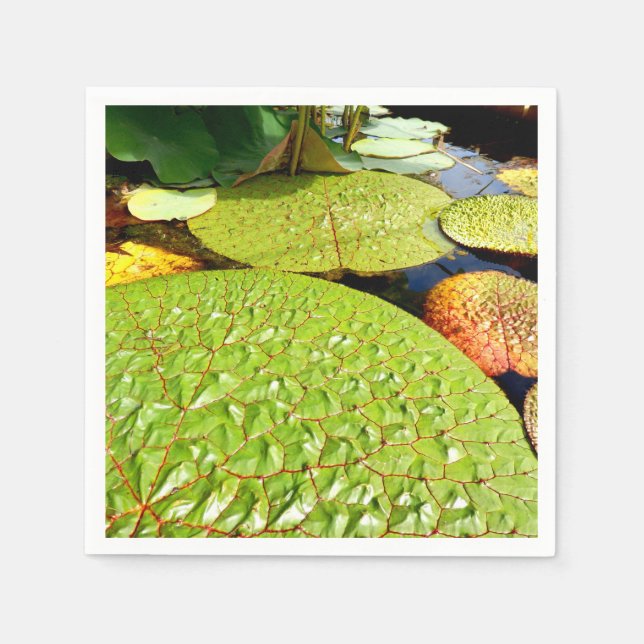 Serviette En Papier Papier Lily Pads (Devant)