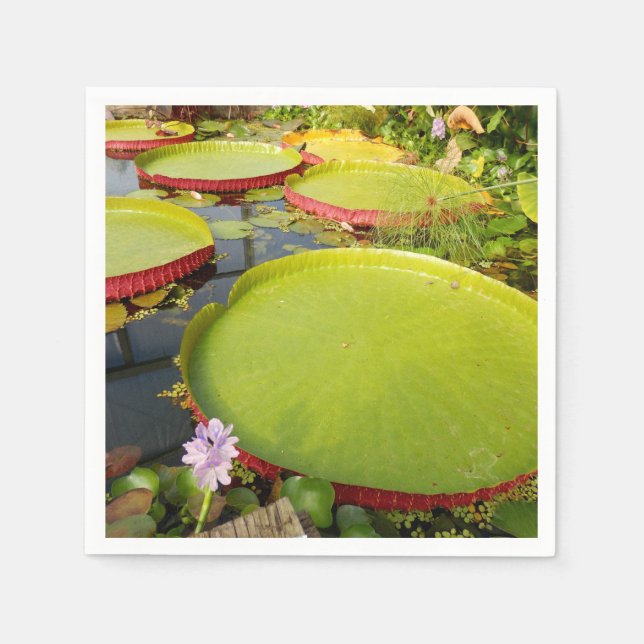 Serviette En Papier Papier Lily Pads (Devant)