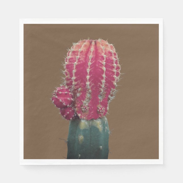 Serviette En Papier Papier photo Cactus rose serviettes (Devant)