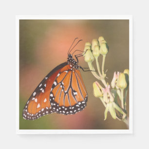 Serviette En Papier Papillon reine sur une branche