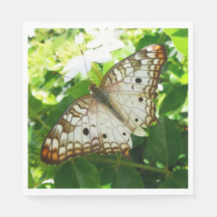 Serviette En Papier Papillon sur Jasmin Photographie de la Nature Trop