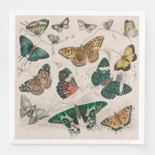 Serviette En Papier Papillons Collection Antique Papillons