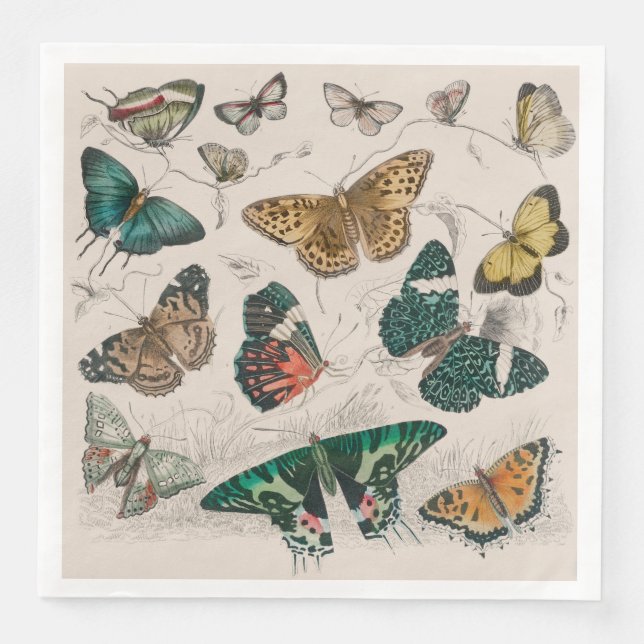 Serviette En Papier Papillons Collection Antique Papillons (Devant)
