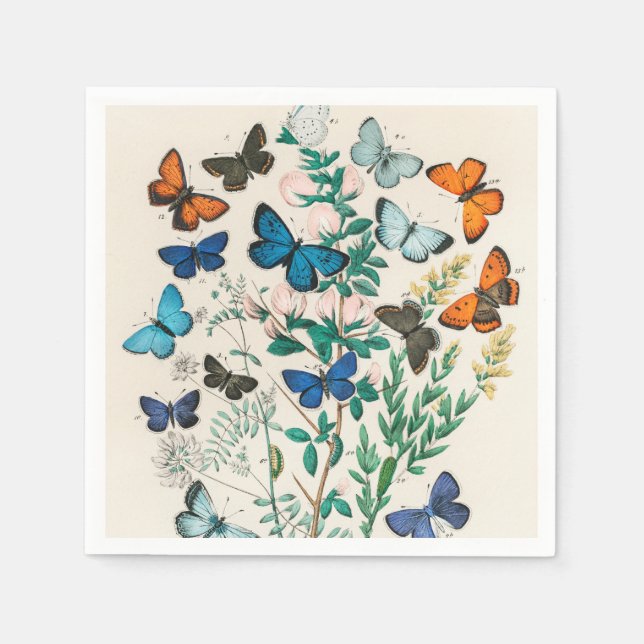 Serviette En Papier Papillons, illustration vintage (Devant)