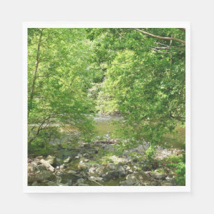 Serviette En Papier Patapsco River View Maryland Nature Photographie