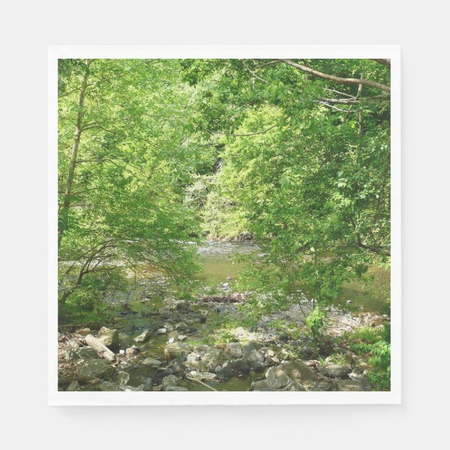 Serviette En Papier Patapsco River View Maryland Nature Photographie (Devant)