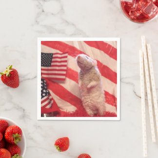 Serviette En Papier Patriotic Murray