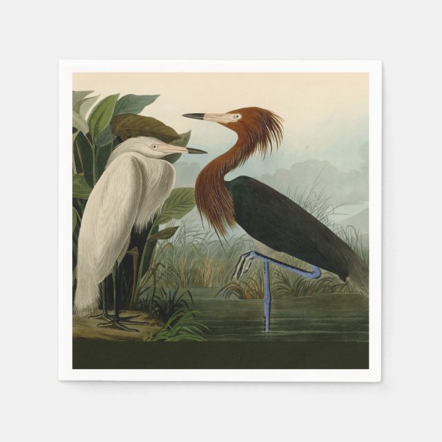 Serviette En Papier Peinture de la faune d'Audubon Heron violet (Devant)