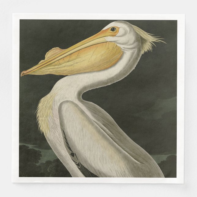 Serviette En Papier Pélican blanc américain, les oiseaux d'Amérique d' (Devant)