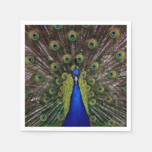 Serviette En Papier Photo d'affichage de plumes de paon