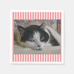 Serviette En Papier Photo de chat rose