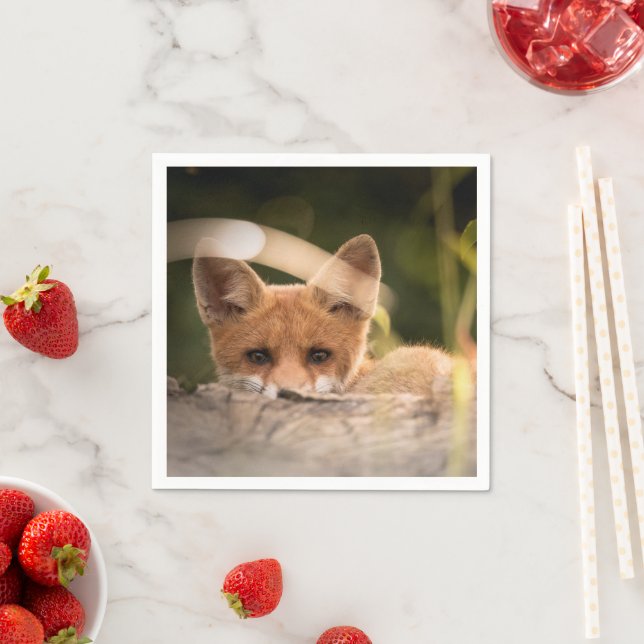 Serviette En Papier Photo de Cute Little Orange Fox (En situation)