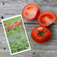 Photo personnalisée