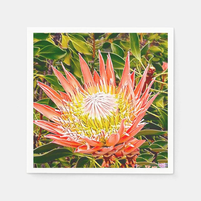 Serviette En Papier Photographie de fleurs australiennes de Protea (Devant)