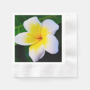 Serviette En Papier Photographie de fleurs de plumeria
