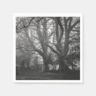 Serviette En Papier Photographie noir et blanc de la forêt éffrayante