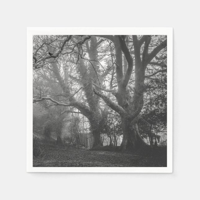 Serviette En Papier Photographie noir et blanc de la forêt éffrayante (Devant)