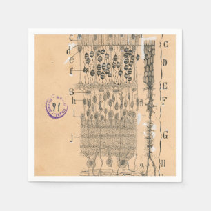 Serviette En Papier Piles Dessin Oeil Retina Santiago Ramon Y Cajal