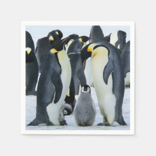 Serviette En Papier Pingouins empereurs
