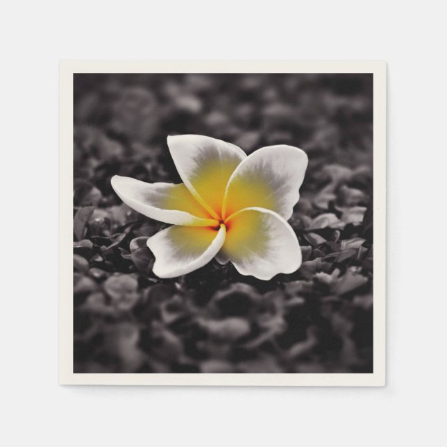 Serviette En Papier Plumeria Frangipani Hawaii (Devant)