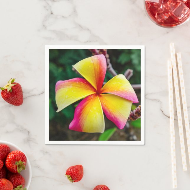 Serviette En Papier Plumeria rubra (En situation)