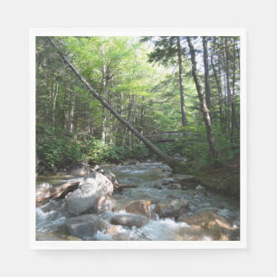 Serviette En Papier Pont sur la rivière Pemigewasset dans le New Hamps