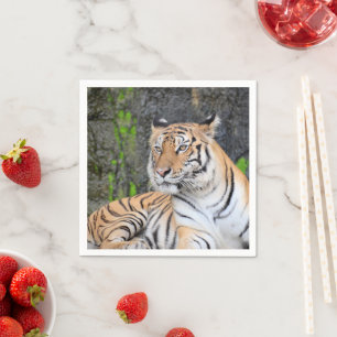 Serviette En Papier Portrait dramatique d'un tigre au repos