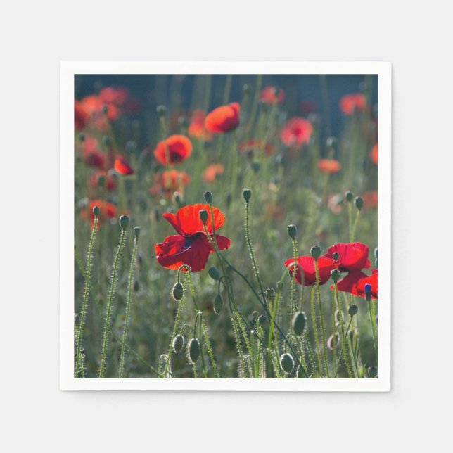 Serviette En Papier Pretty Poppies in Wild Meadow Photo (Devant)