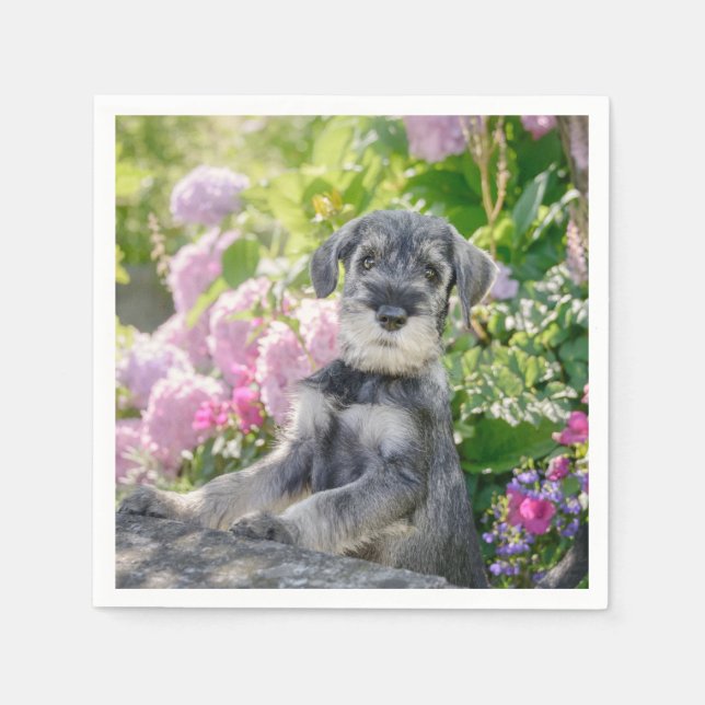 Serviette En Papier Puppy de Schnauzer dans un Flowering Garden - (Devant)