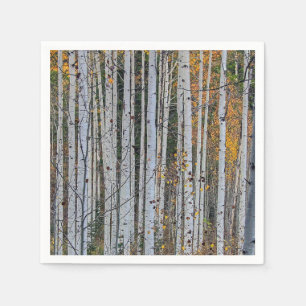Serviette En Papier Quaking Aspen en automne