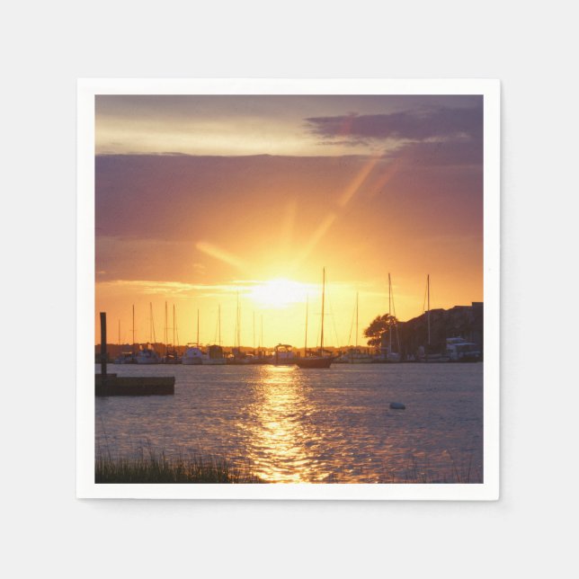 Serviette En Papier Rayons solaires de Folly River (Devant)