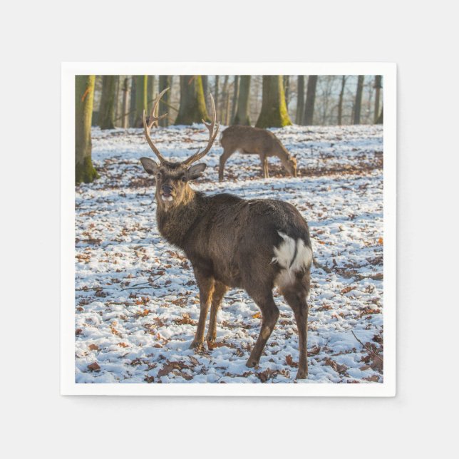 Serviette En Papier Red Deer en neige (Devant)