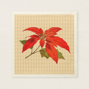 Serviette En Papier Red Poinsettia Ecru Standard Cocktail Napkin