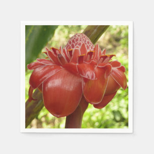 Serviette En Papier Red Torch Ginger Tropical Flower Photographie